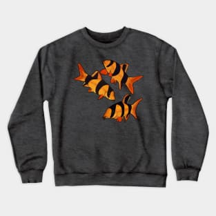 Clown loach fish tiger botia Crewneck Sweatshirt